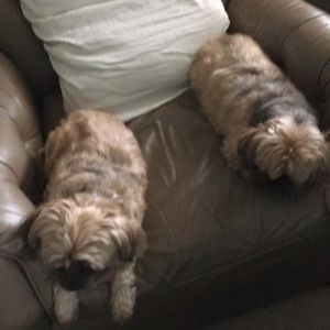 Meet your Posher, Michael